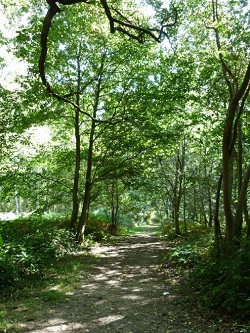 Parcours orientation bois de l epinay
